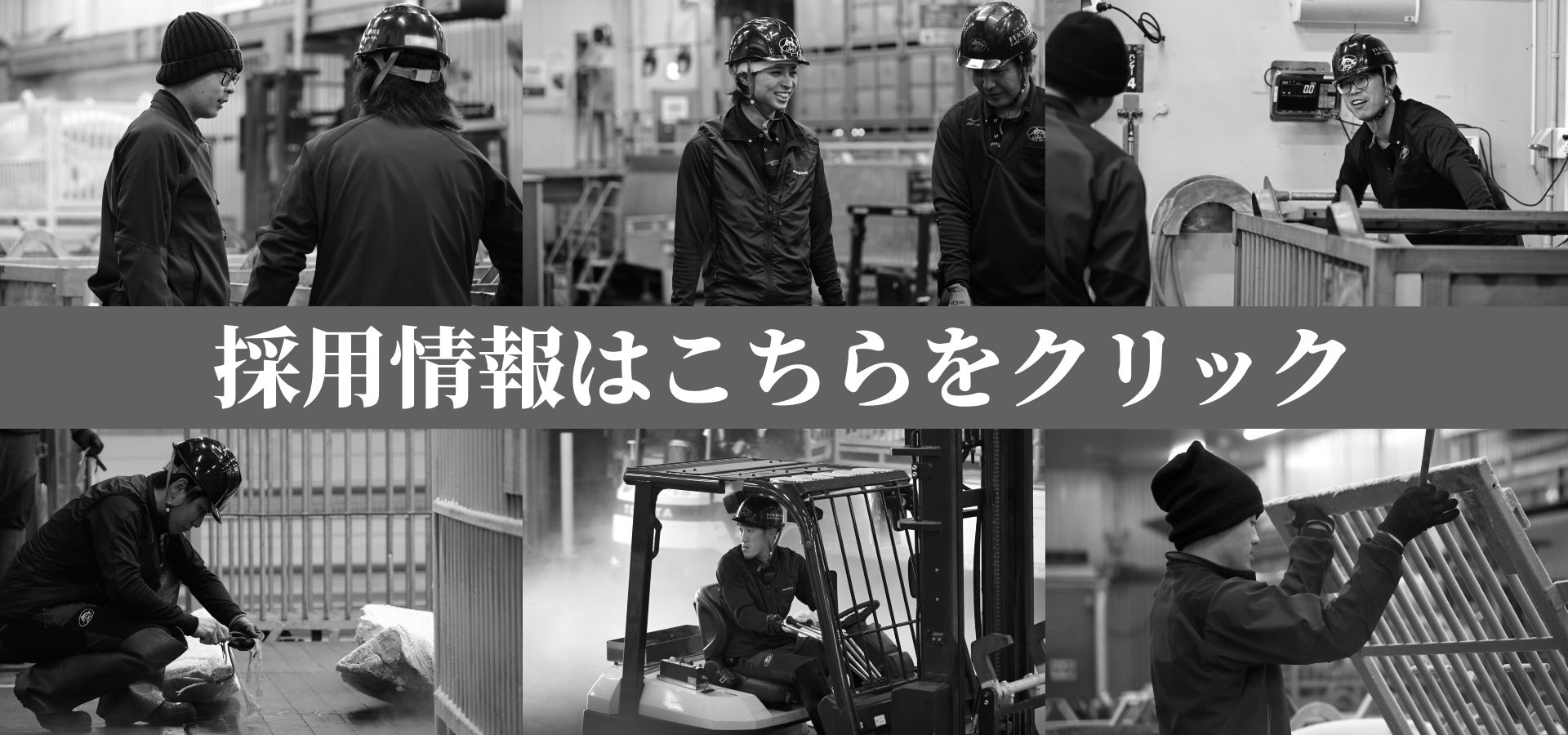 採用情報はこちら