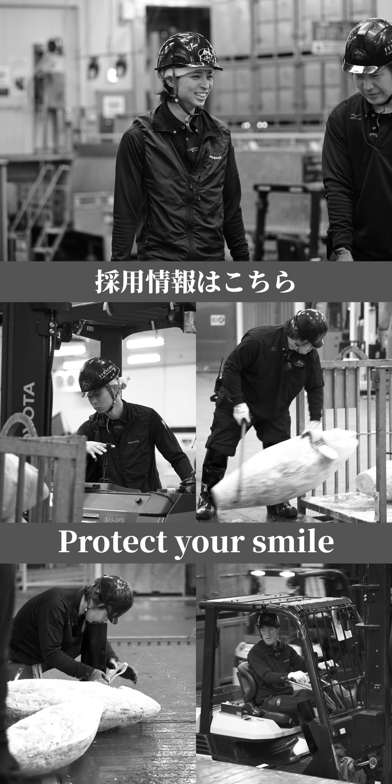 採用情報はこちら